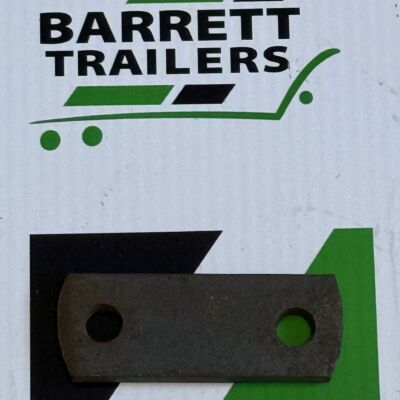 2 HOLE PLATE 100X38MM